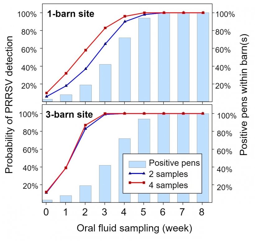 Figure 1. &nbsp;PRRSV detection using fixed spatial sampling.&nbsp; Probability of detecting &ge; 1 PRRSV positive samples as a function of the number of oral fluids tested per barn (2 or 4) and number of barns per site (1 or 3).&nbsp; Note that the probability of detection increases geometrically with the number of barns sampled.&nbsp; Data from Rotolo et al., (2017). 
